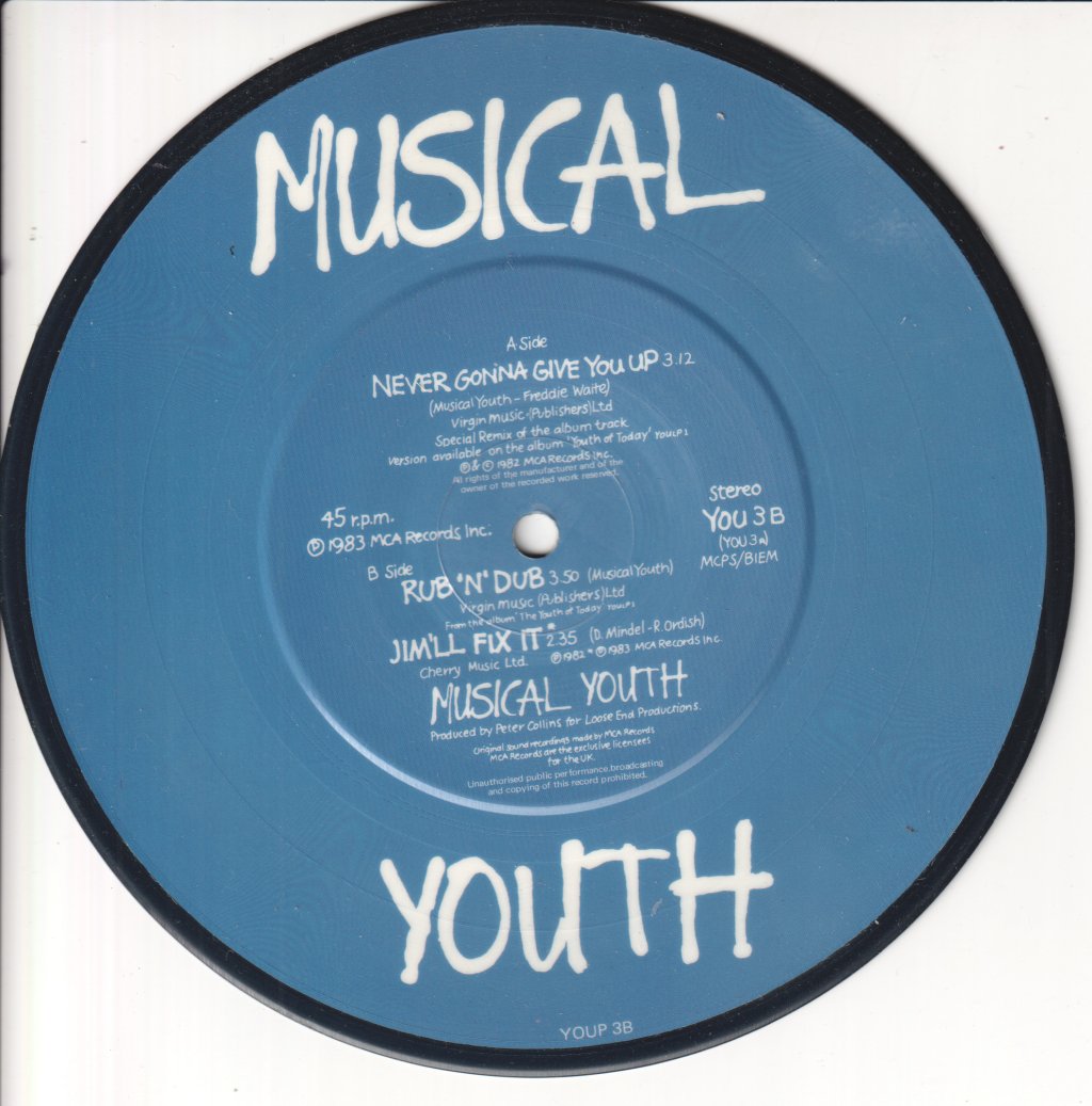 Musical Youth - Never Gonna Give You Up - 7 Inch