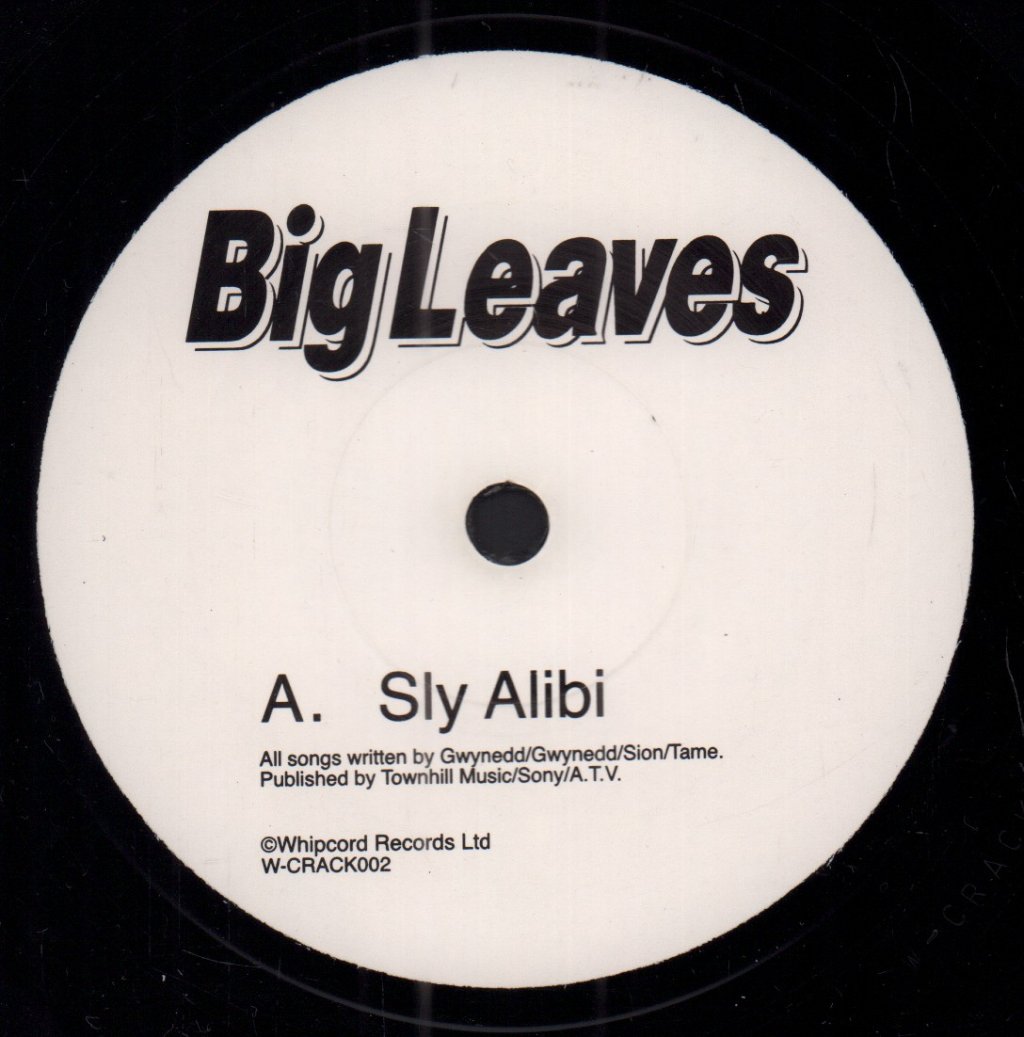 Big Leaves - Sly Alibi - 7 Inch