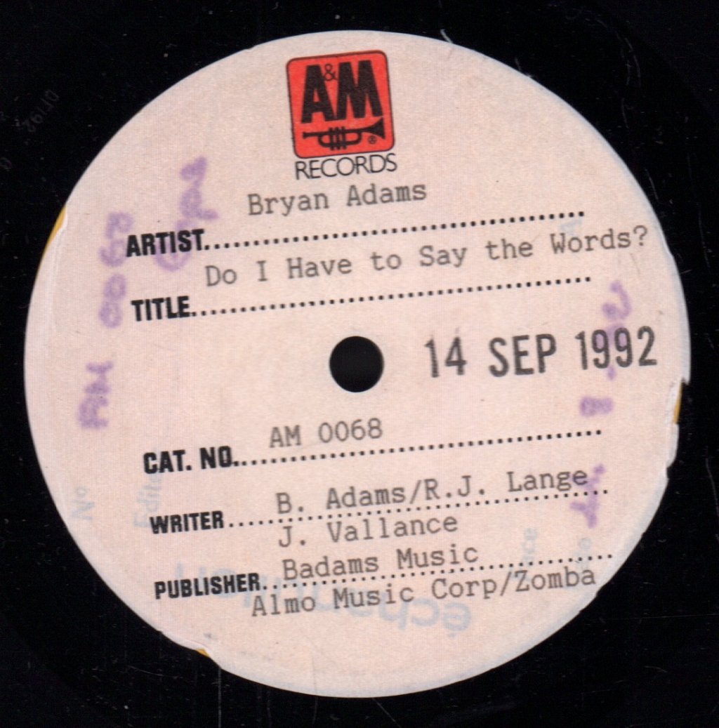 Bryan Adams - Do I Have To Say The Words - 7 Inch