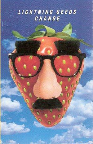 Lightning Seeds - Change - Cassette