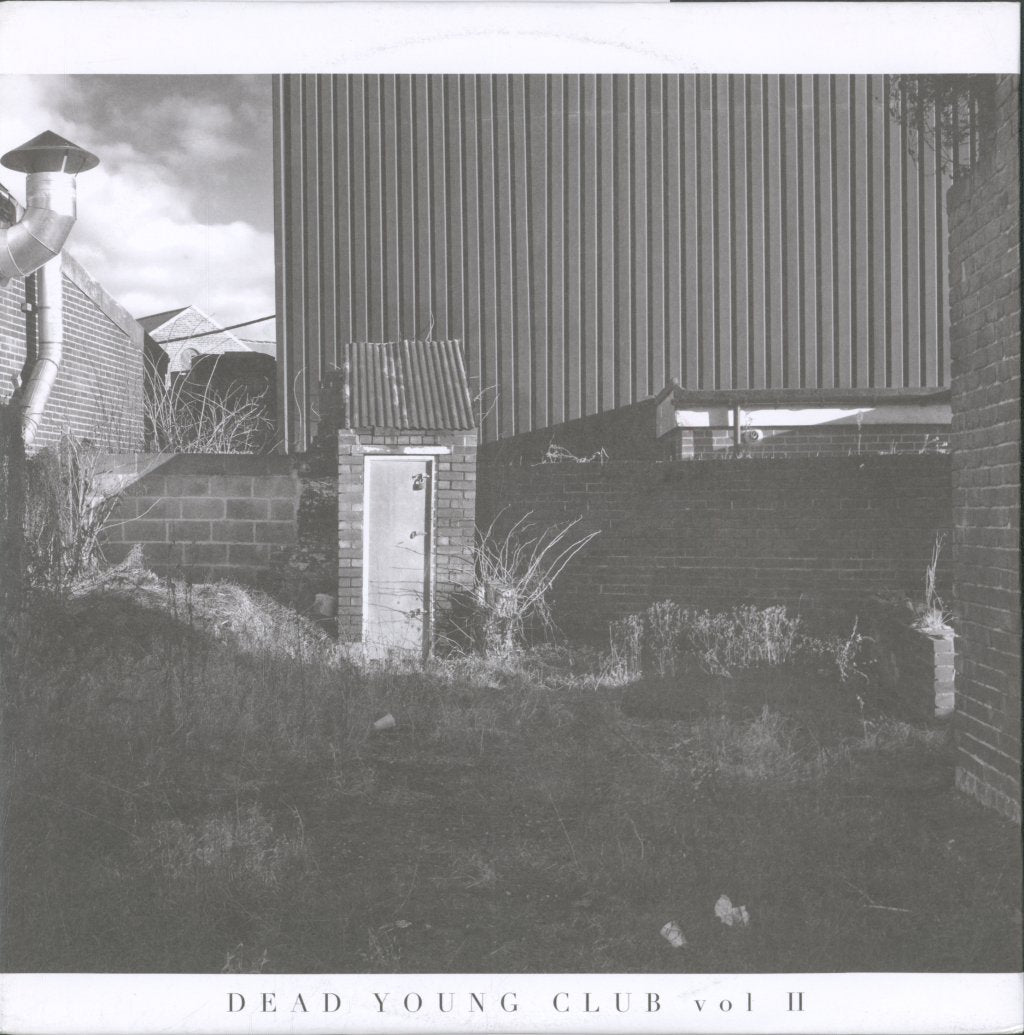 Various Artists - Dead Young Club Vol Ii - 10 Inch