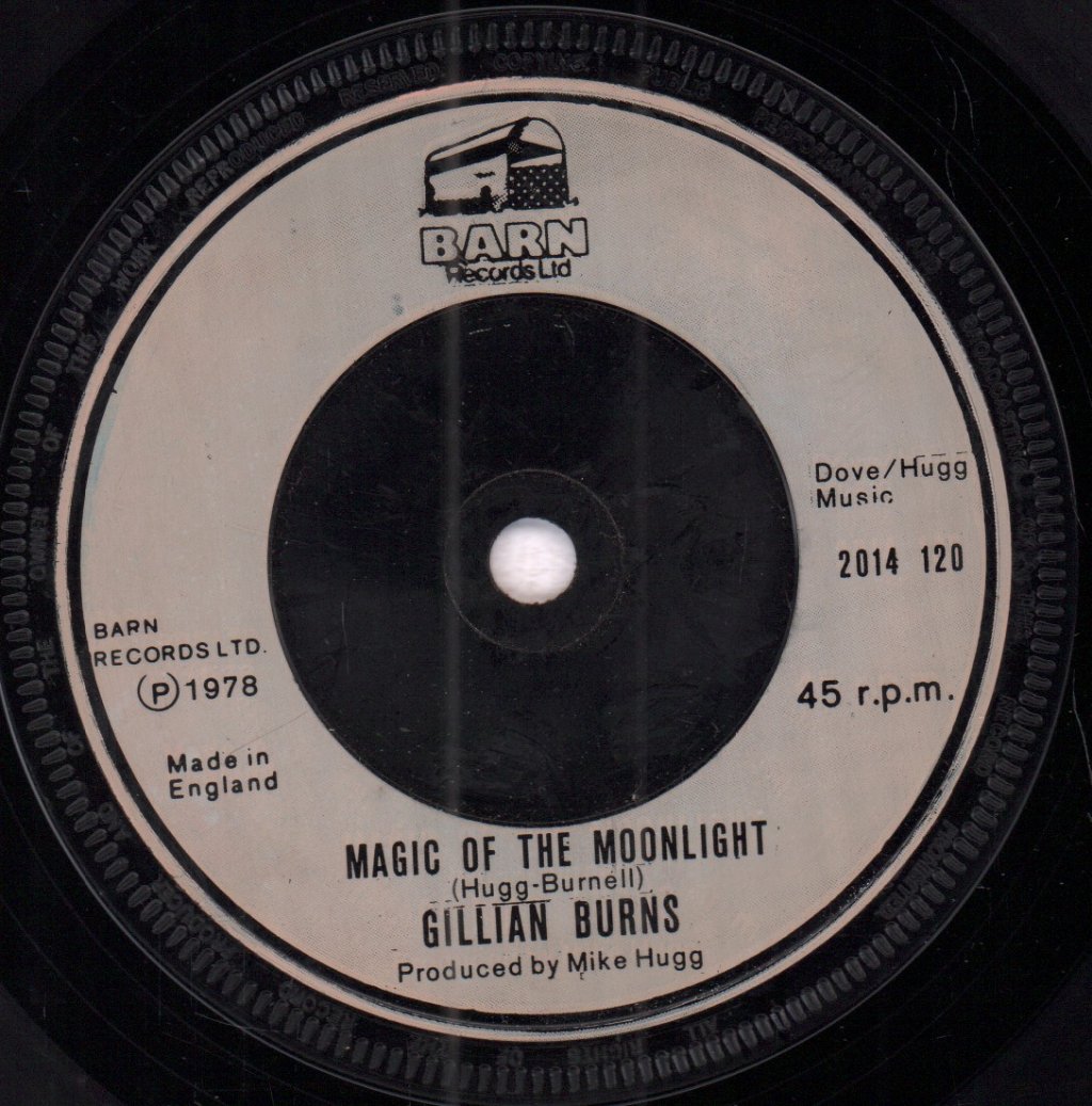 Gillian Burns - Mister It's Your Lucky Day - 7 Inch