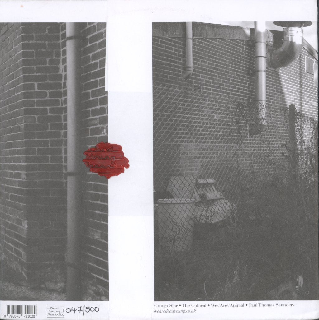 Various Artists - Dead Young Club Vol Ii - 10 Inch