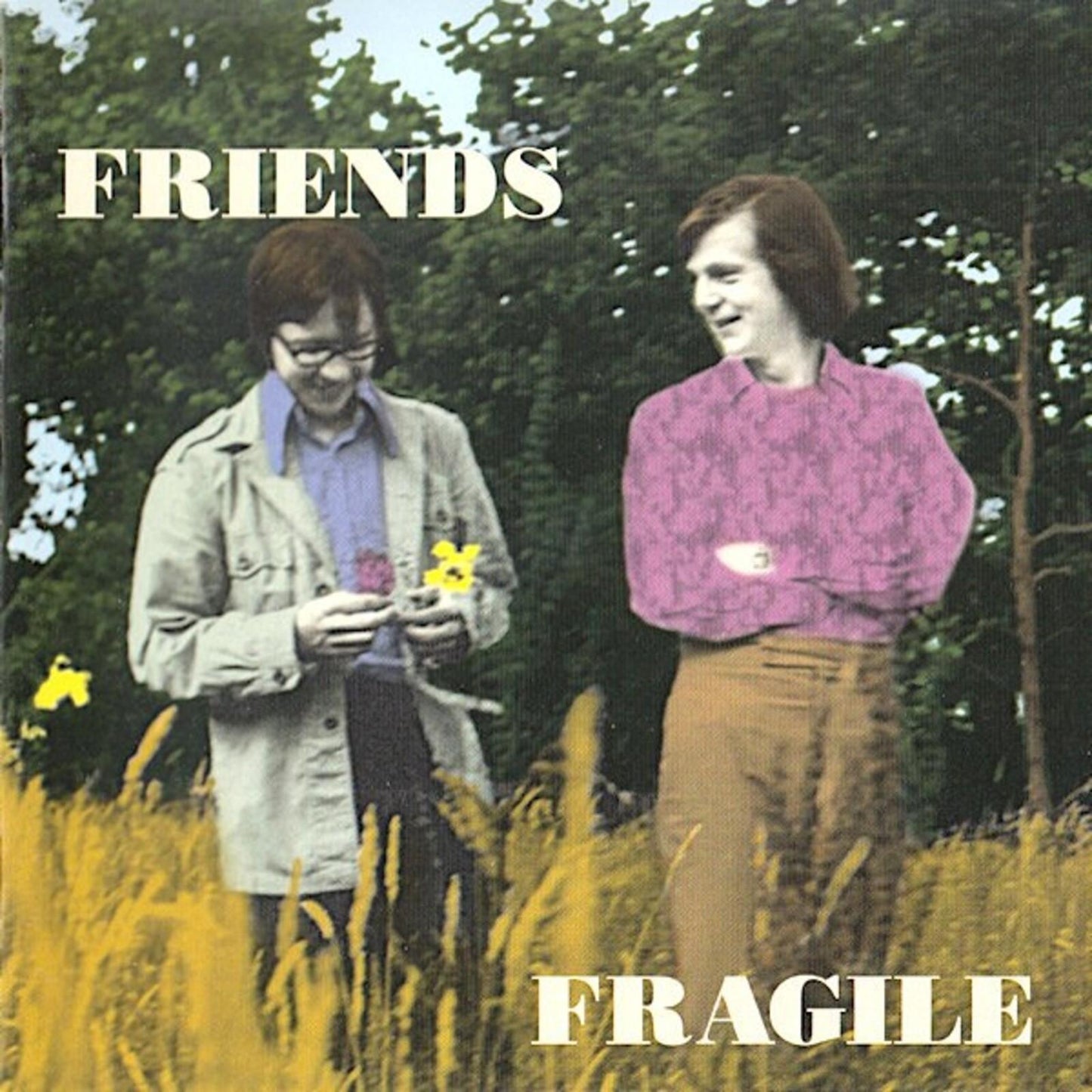 Friends (Us Indie Group) - Fragile - Cd
