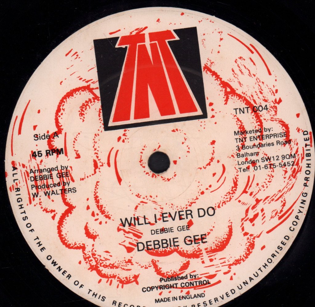 Debbie Gee - Will I Ever Do - 12 Inch