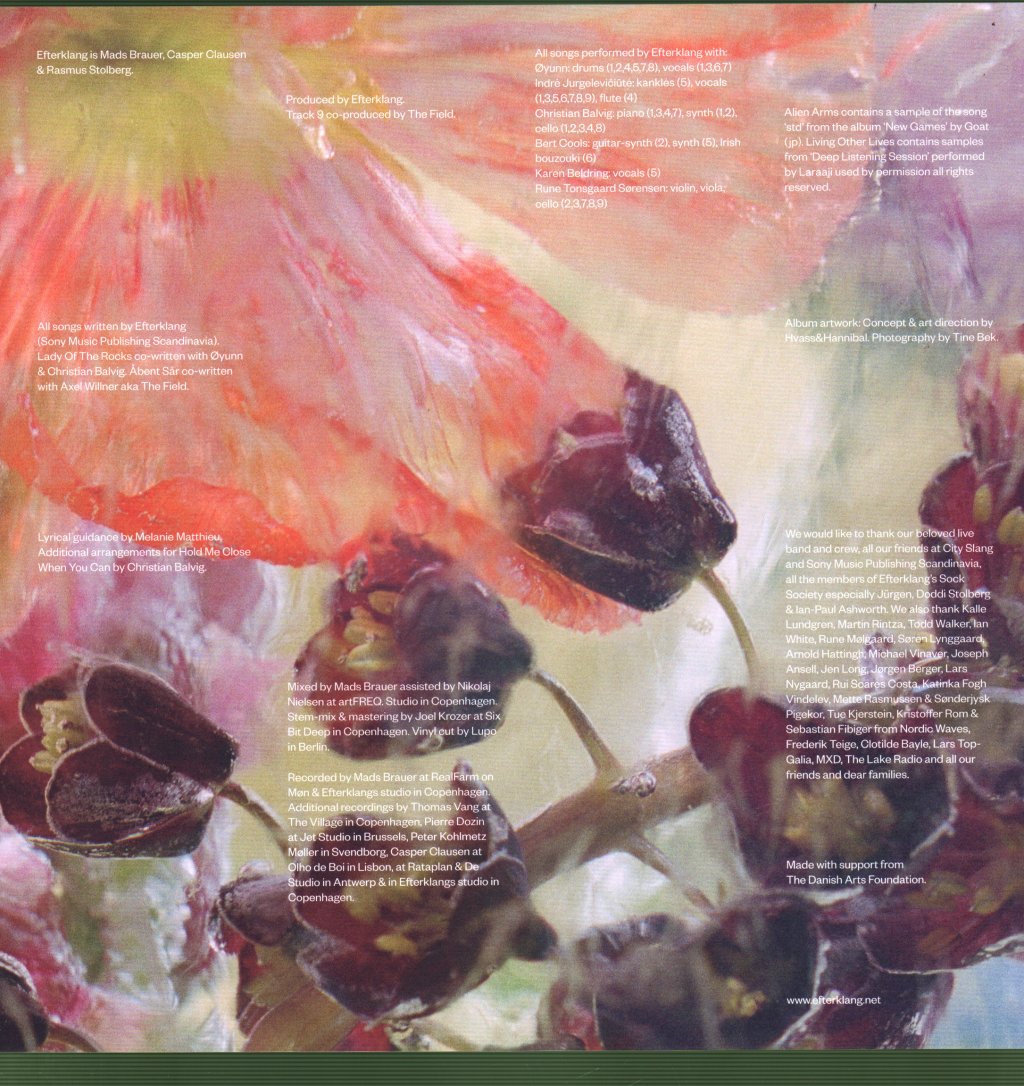 Efterklang - Windflowers - Lp