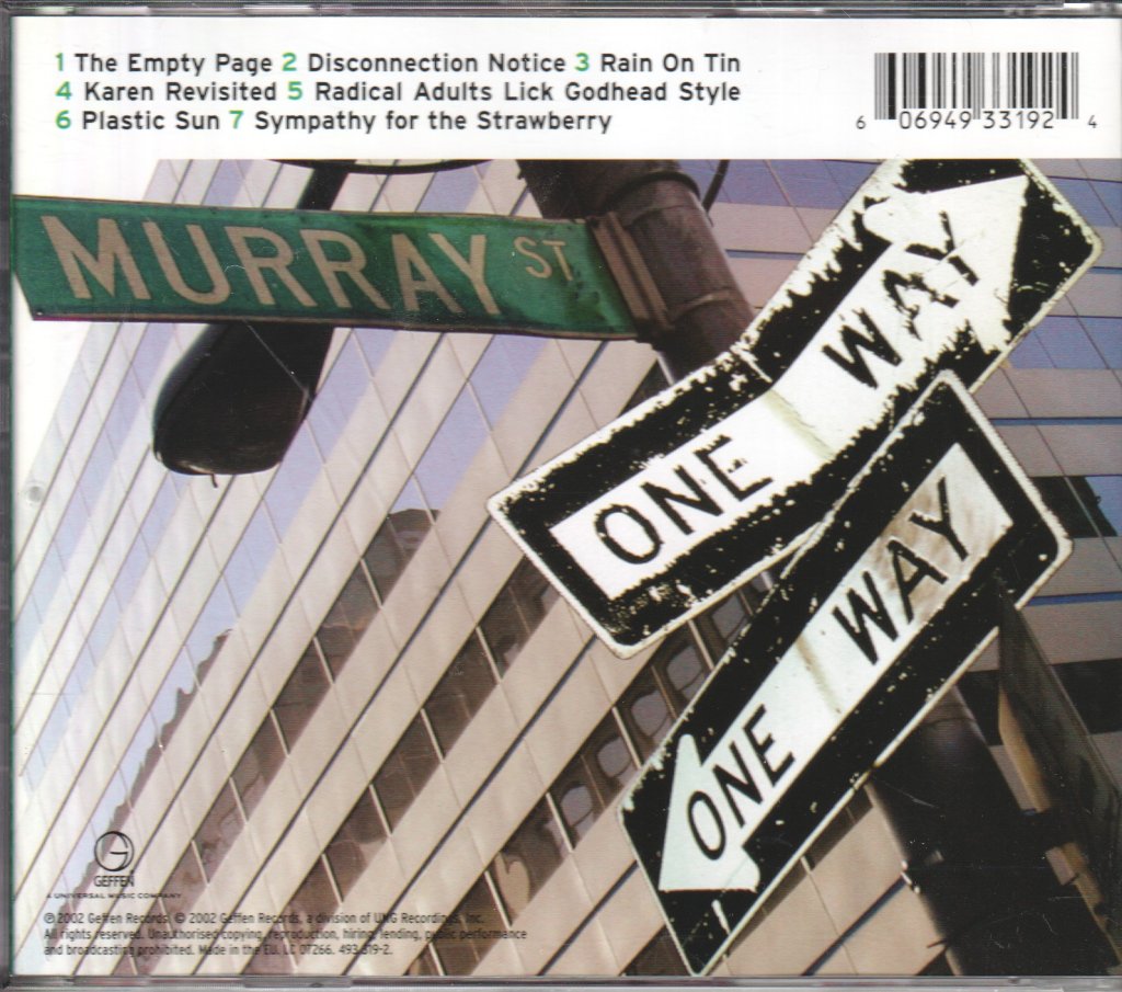 Sonic Youth - Murray Street - Cd