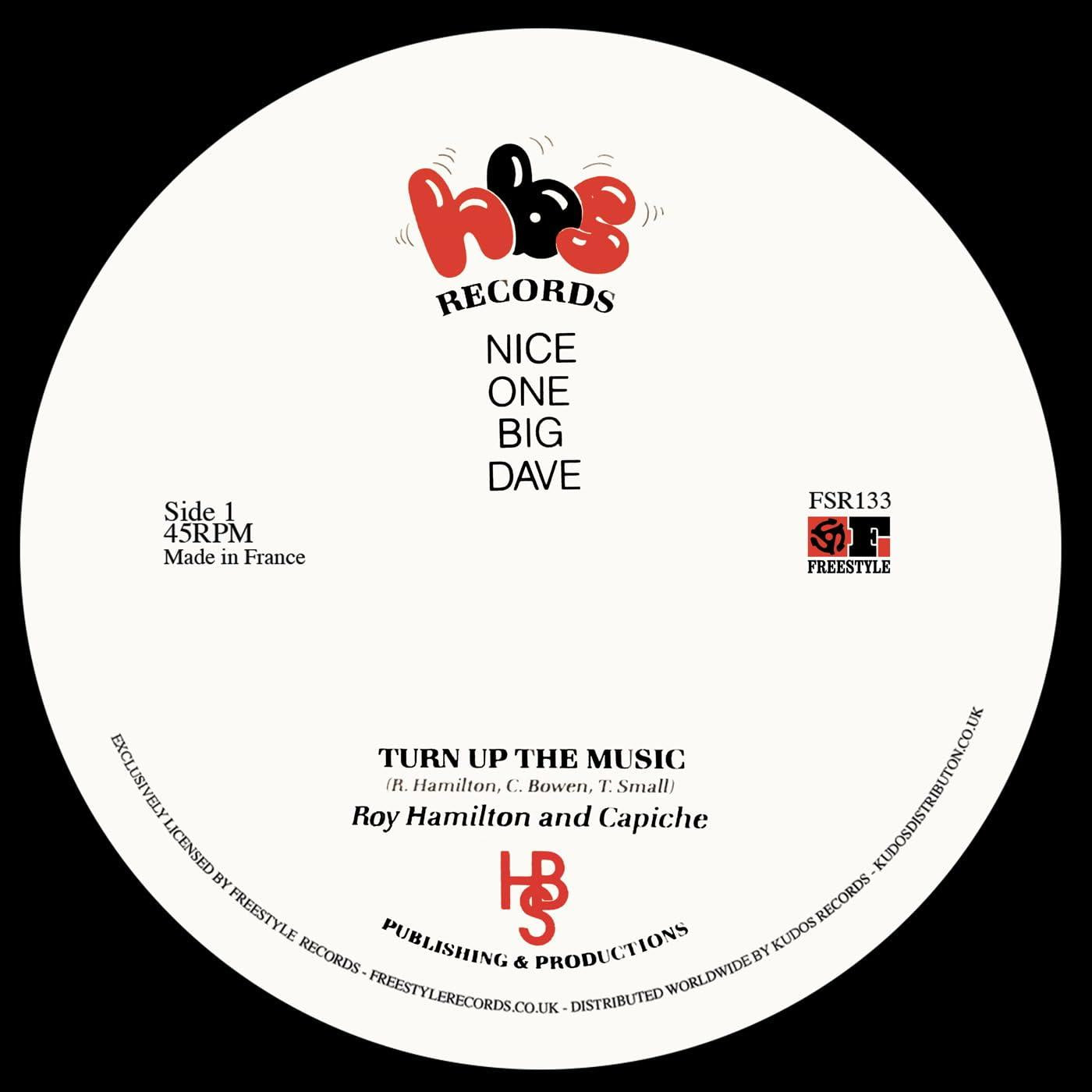 Roy Hamilton And Capiche - Turn Up the Music - 12 Inch