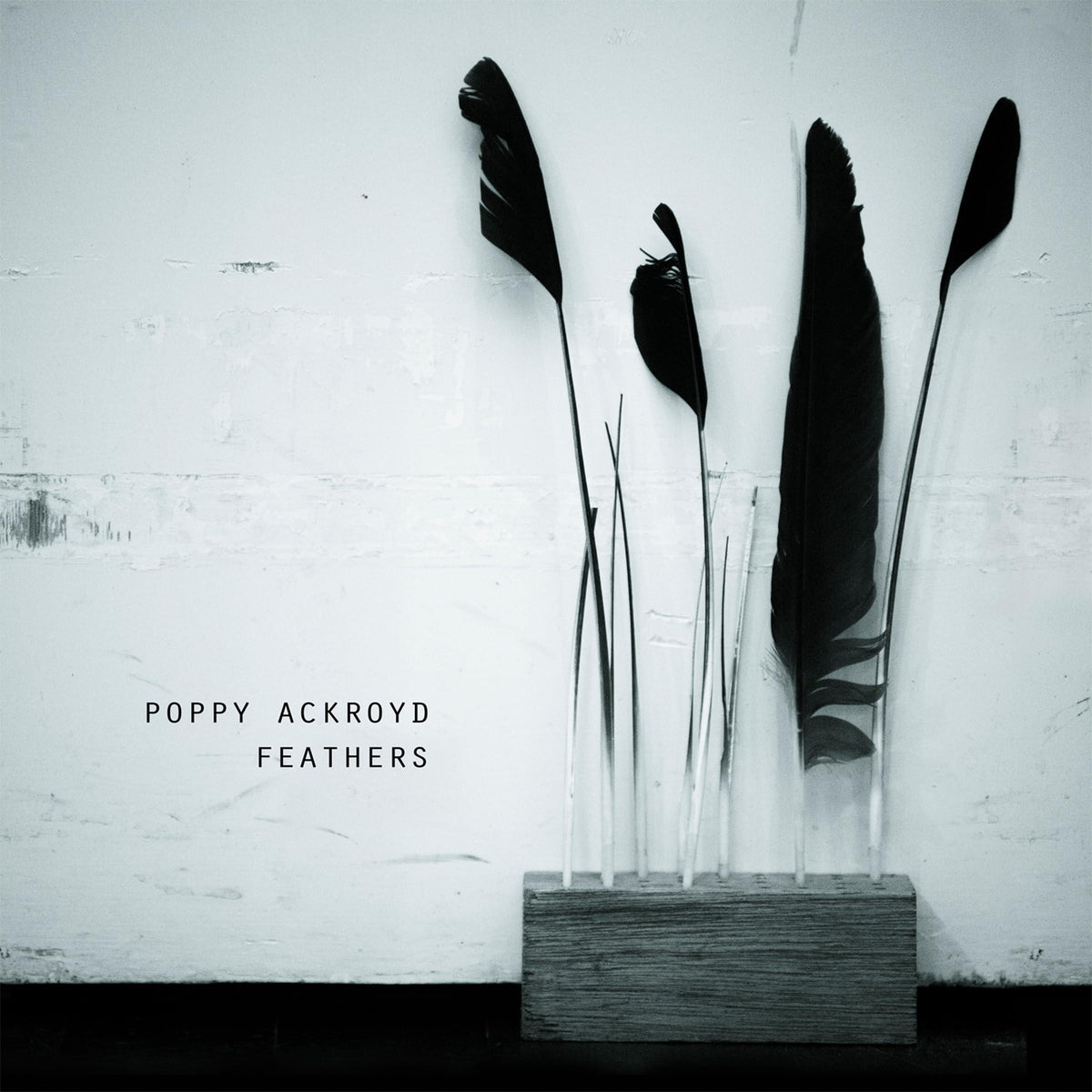 Poppy Ackroyd - Feathers - Cd