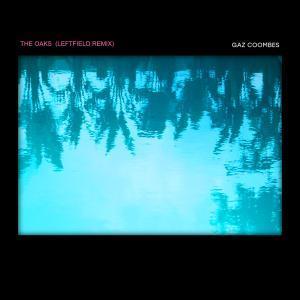 Gaz Coombes - Oaks - 12 Inch