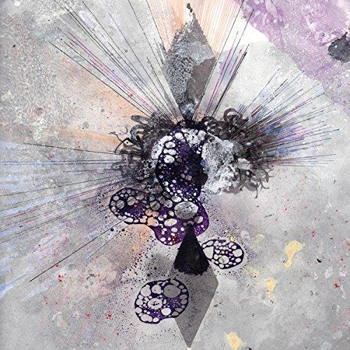 Bardo Pond - Volume 8 - Cd