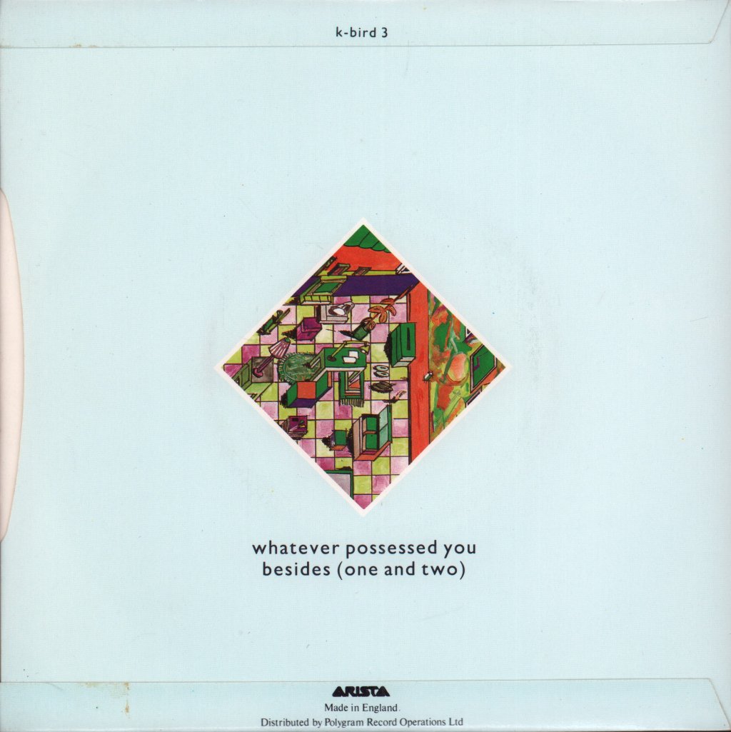 Care - Whatever Possessed You - 7 Inch