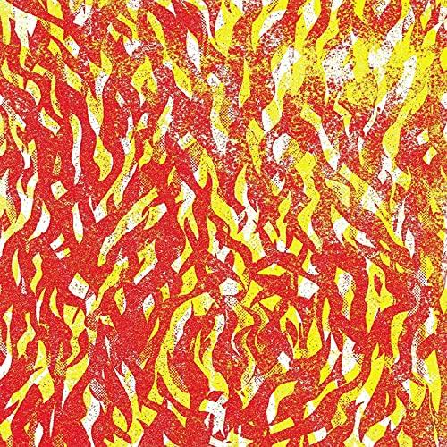 Bug - Fire - Double Lp