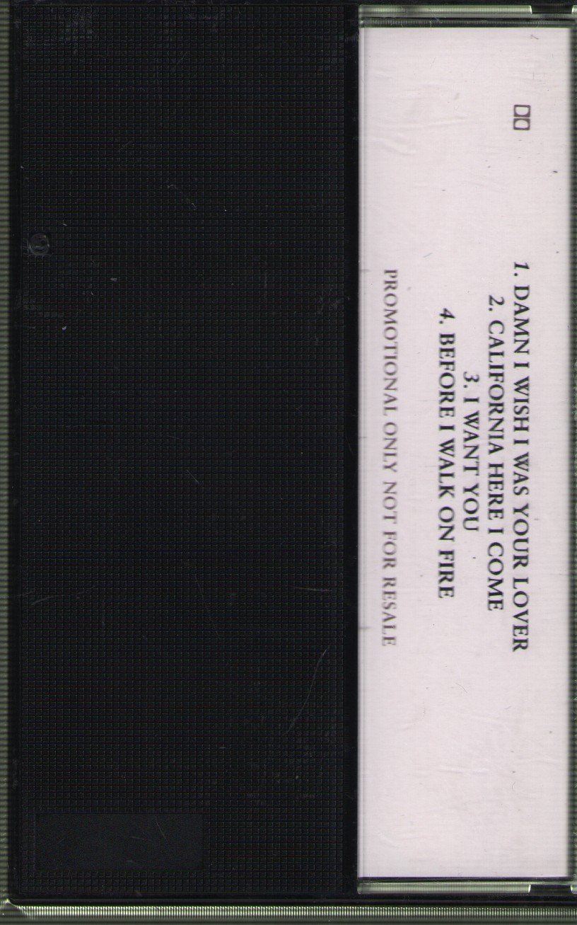 Sophie B Hawkins - Damn I Wish I Was Your Lover - Cassette