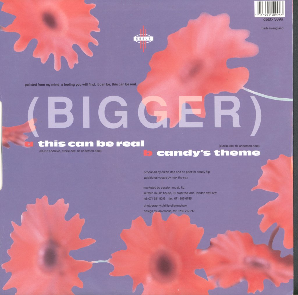 Candy Flip - This Can Be Real - 12 Inch