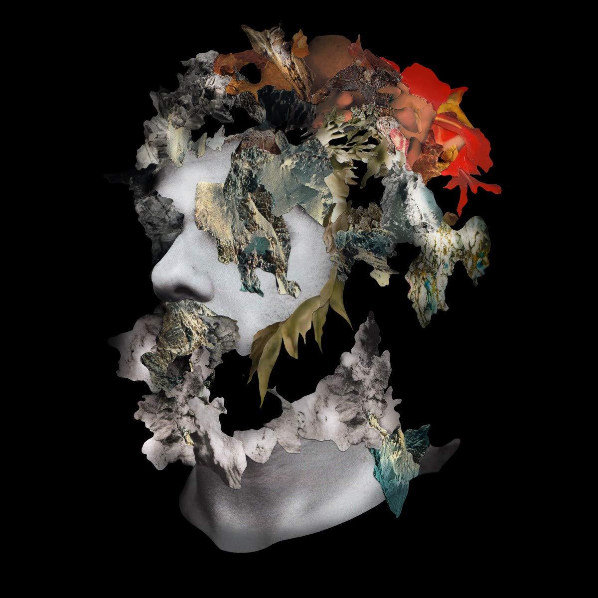 Ash Koosha - I Aka I - Lp