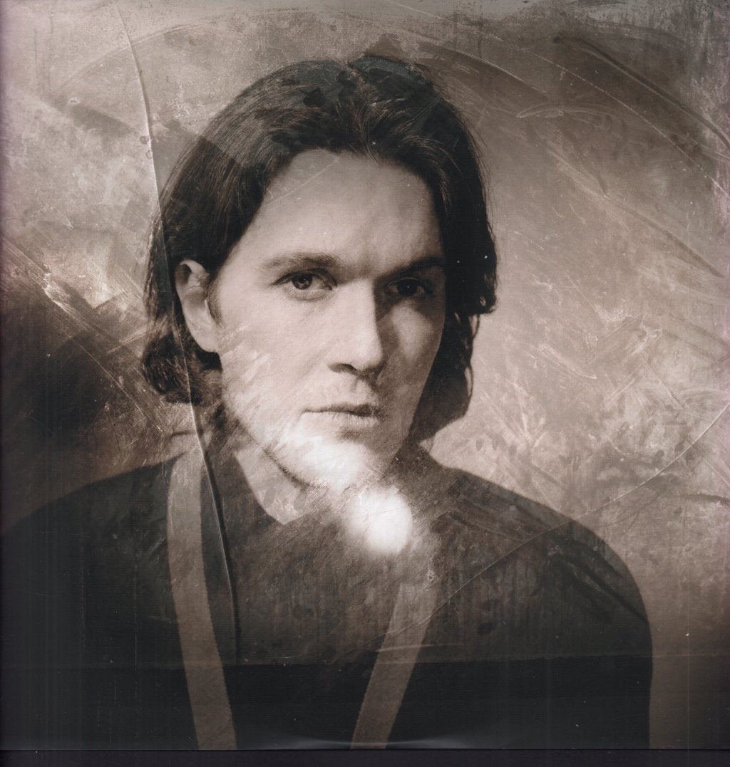 David Sylvian - Secrets Of The Beehive - Lp