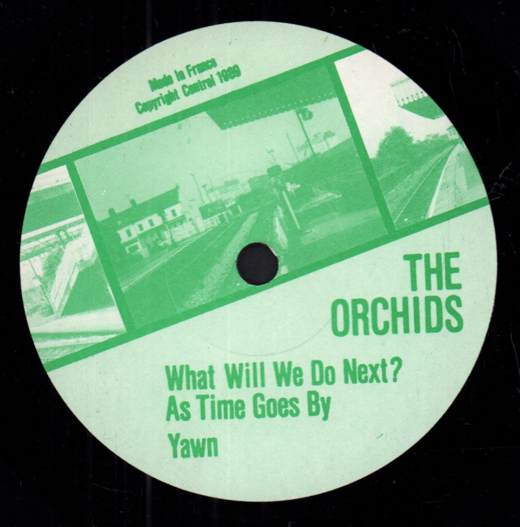 Orchids (Indie Group) - What Will We Do Next - 7 Inch