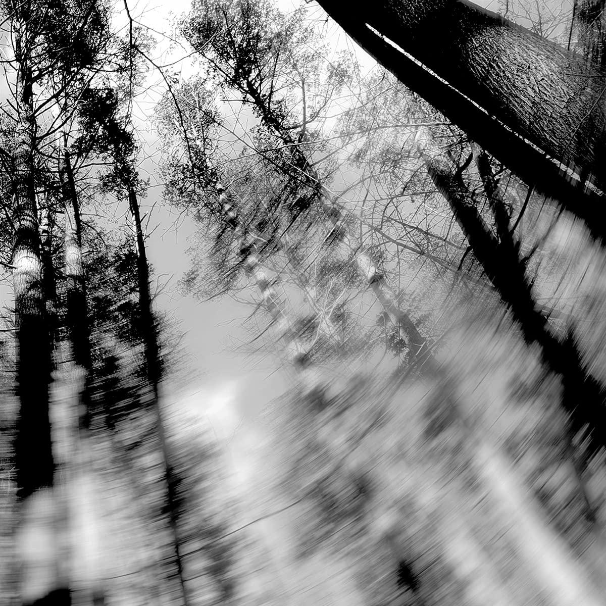 Loess - Totems - Lp