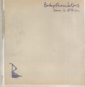 Babyshambles - Down In Albion - Cd