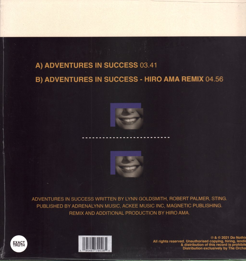 Do Nothing - Adventures in Succes - Lp