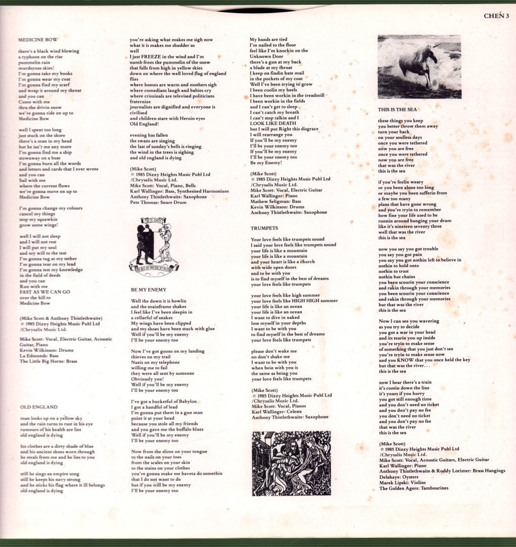 Waterboys - This Is The Sea - Lp