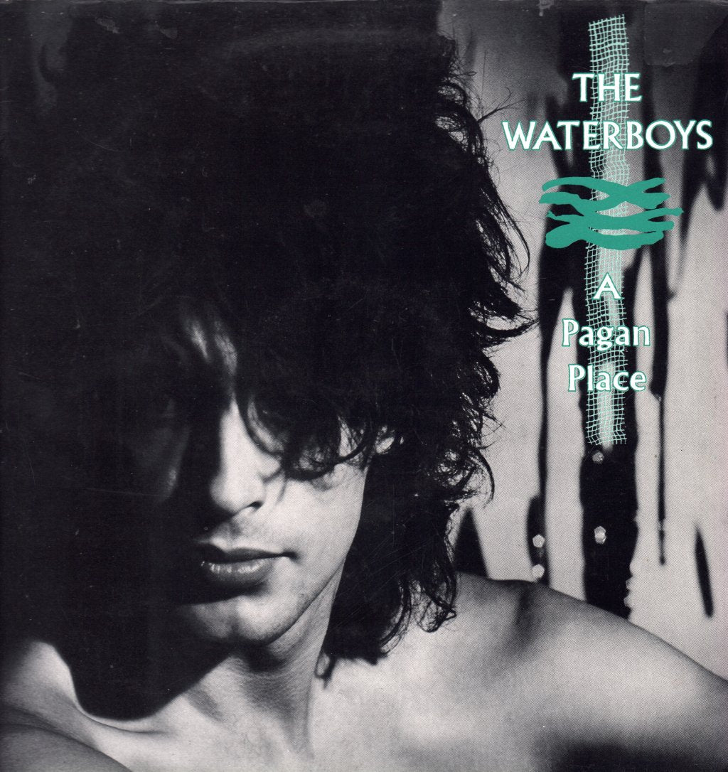 Waterboys - A Pagan Place - Lp