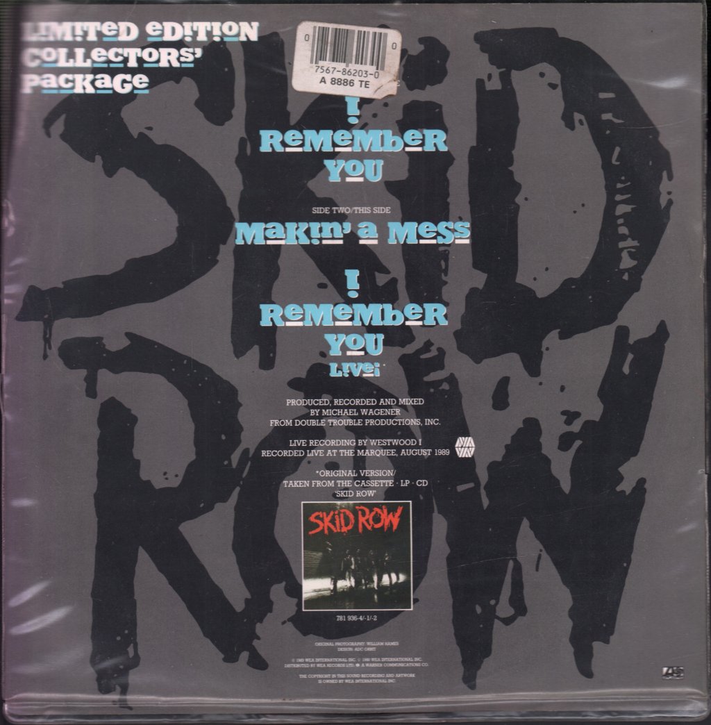 Skid Row - I Remember You - 10 Inch