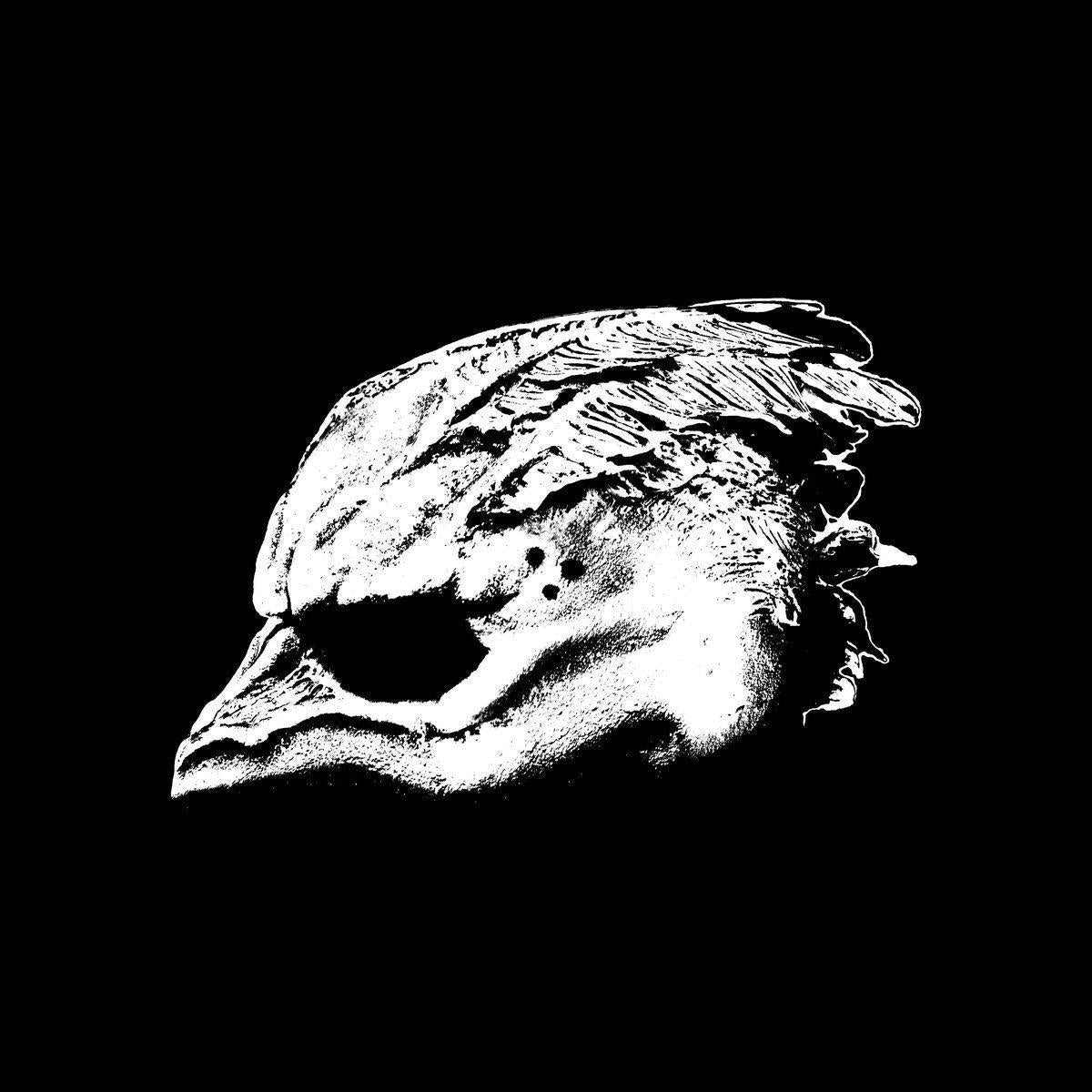 Legend Of The Seagullmen - Legend of the Seagullmen - Cd