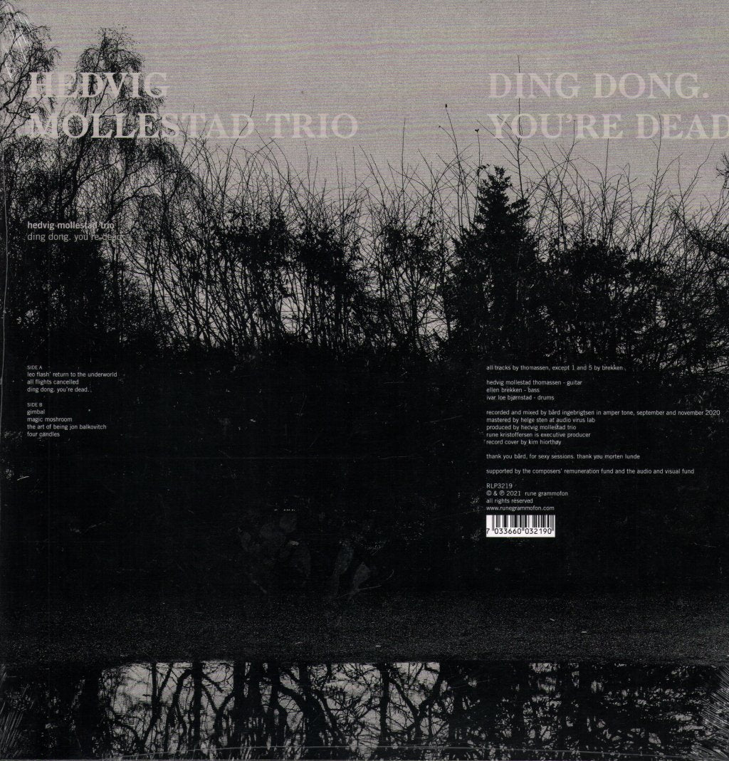 Hedvig Mollestad Trio - Ding Dong. You're Dead. - Lp
