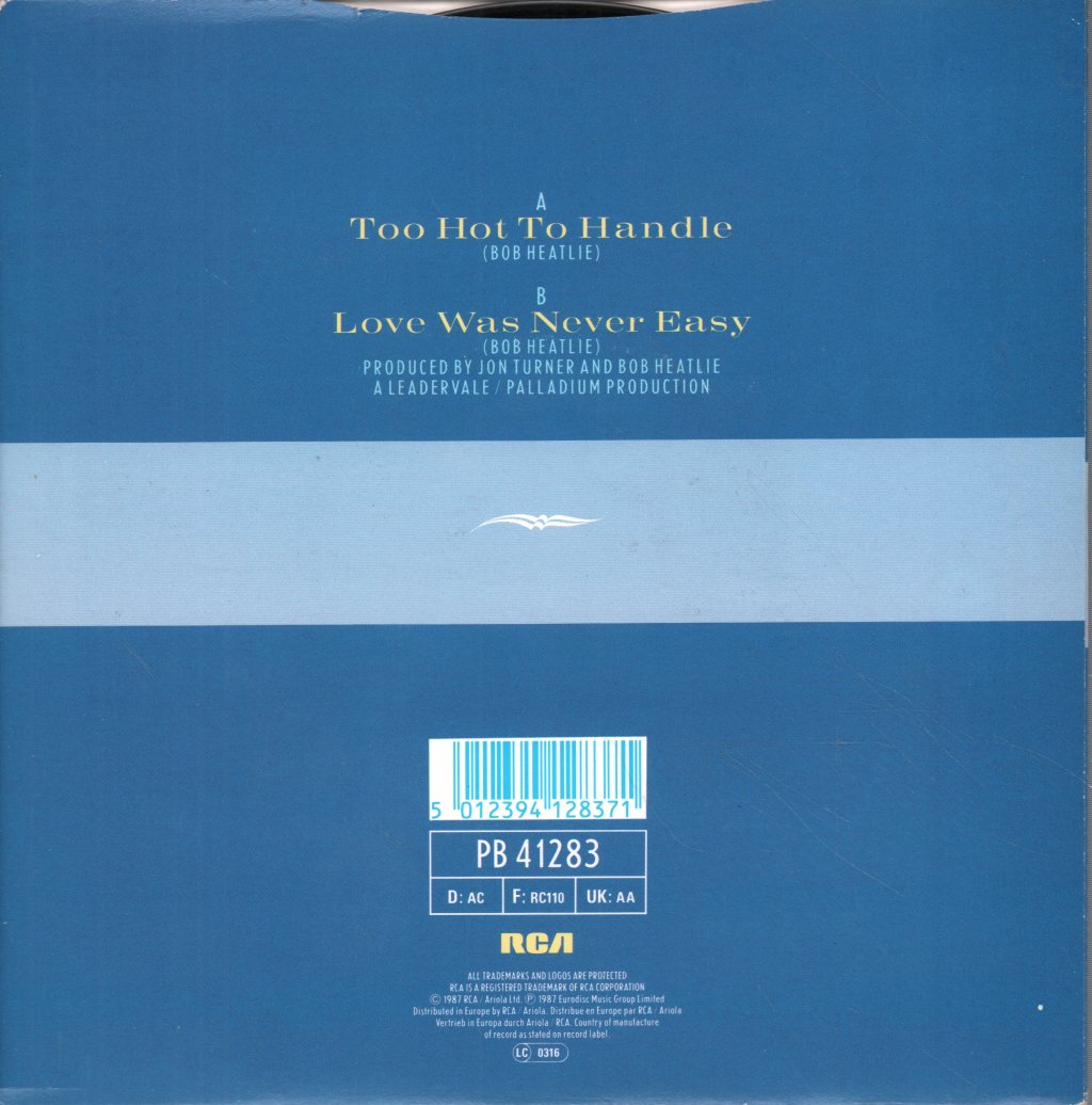 Ann Turner - Too Hot To Handle - 7 Inch