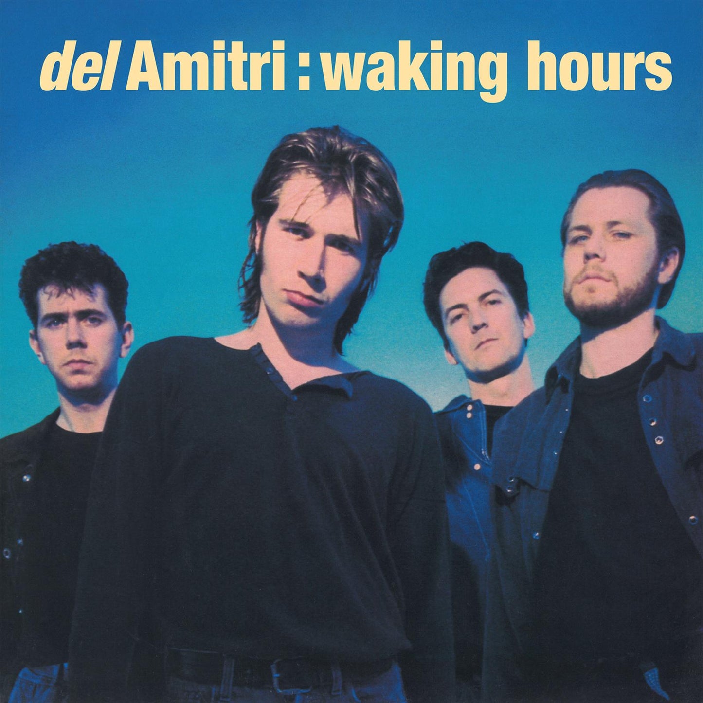 Del Amitri - Waking Hours - Lp