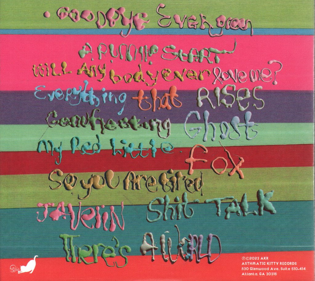 Sufjan Stevens - Javelin - Cd