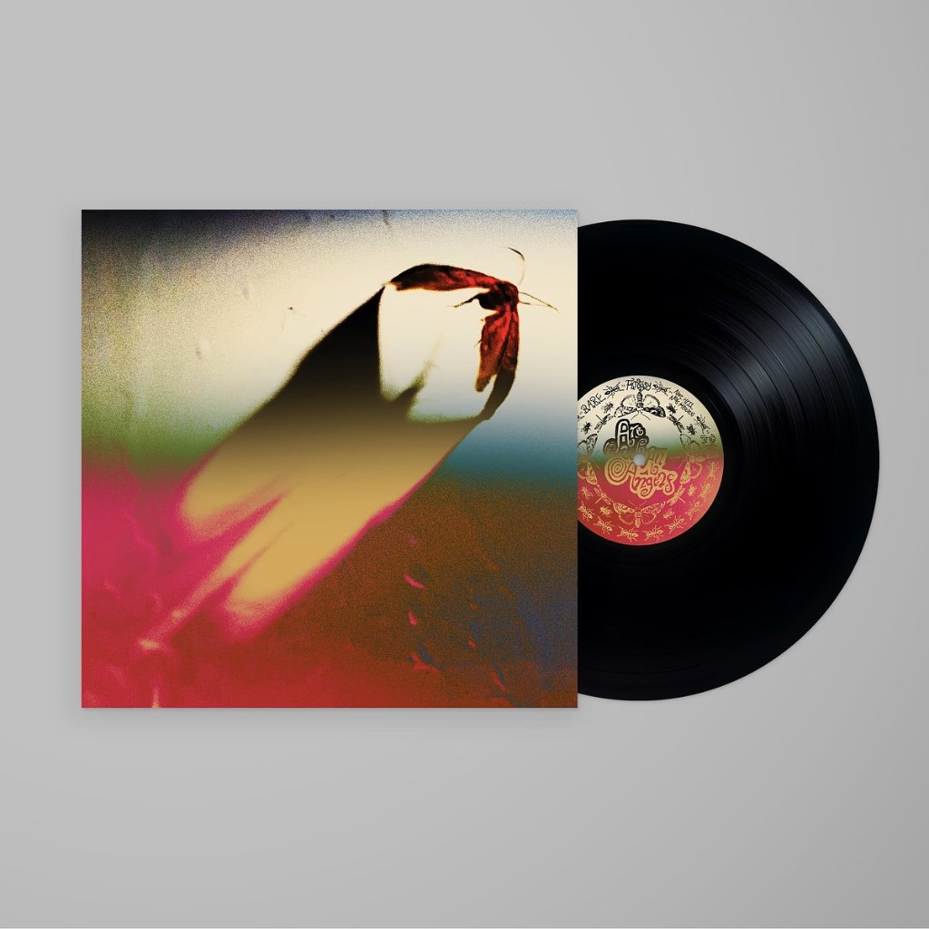 Scowl - Are We All Angels - Lp