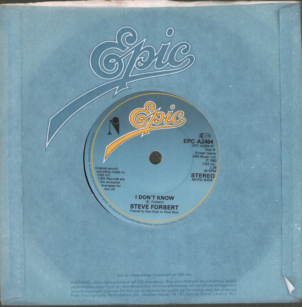 Steve Forbert - When You Walk In The Room - 7 Inch