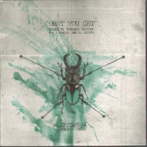 Hundred Reasons - What You Get - Cd