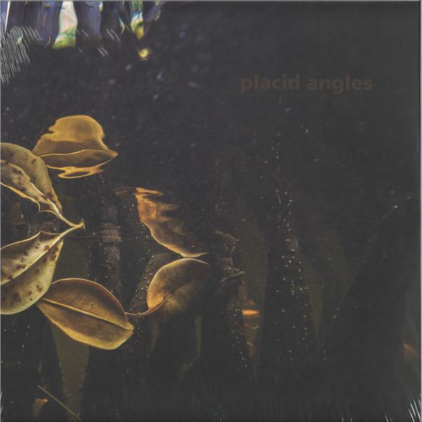 Placid Angles - Touch The Earth - Triple 12 Inch