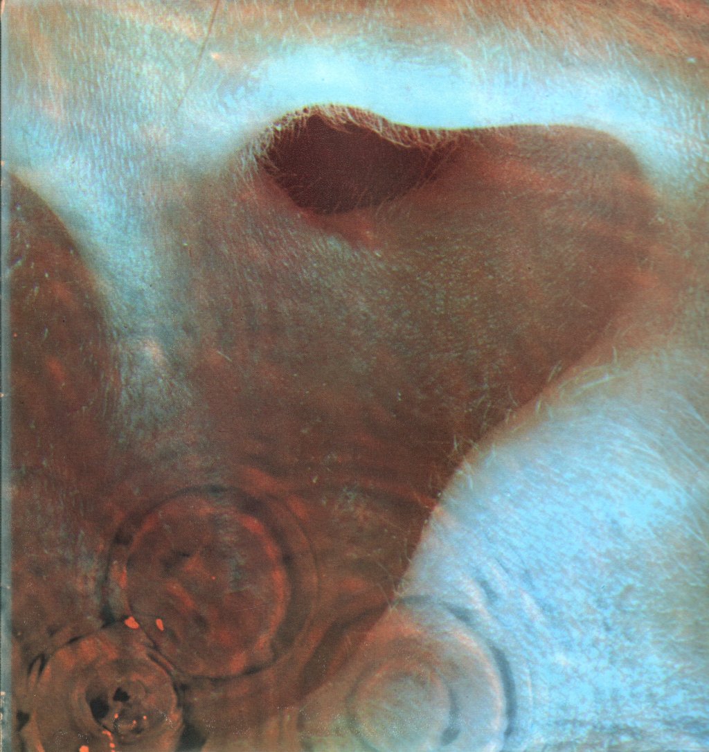 Pink Floyd - Meddle - Lp
