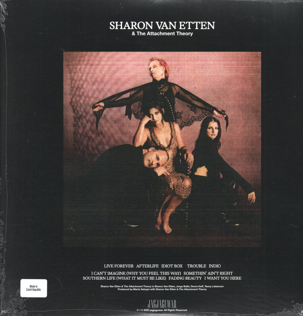Sharon Van Etten & The Attachment Theory - Sharon Van Etten & The Attachment Theory - Lp