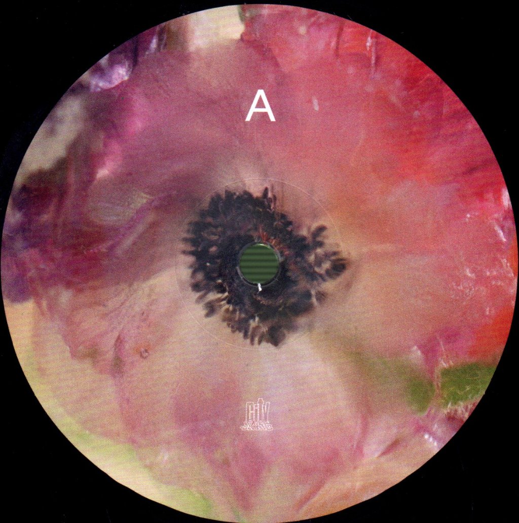 Efterklang - Windflowers - Lp