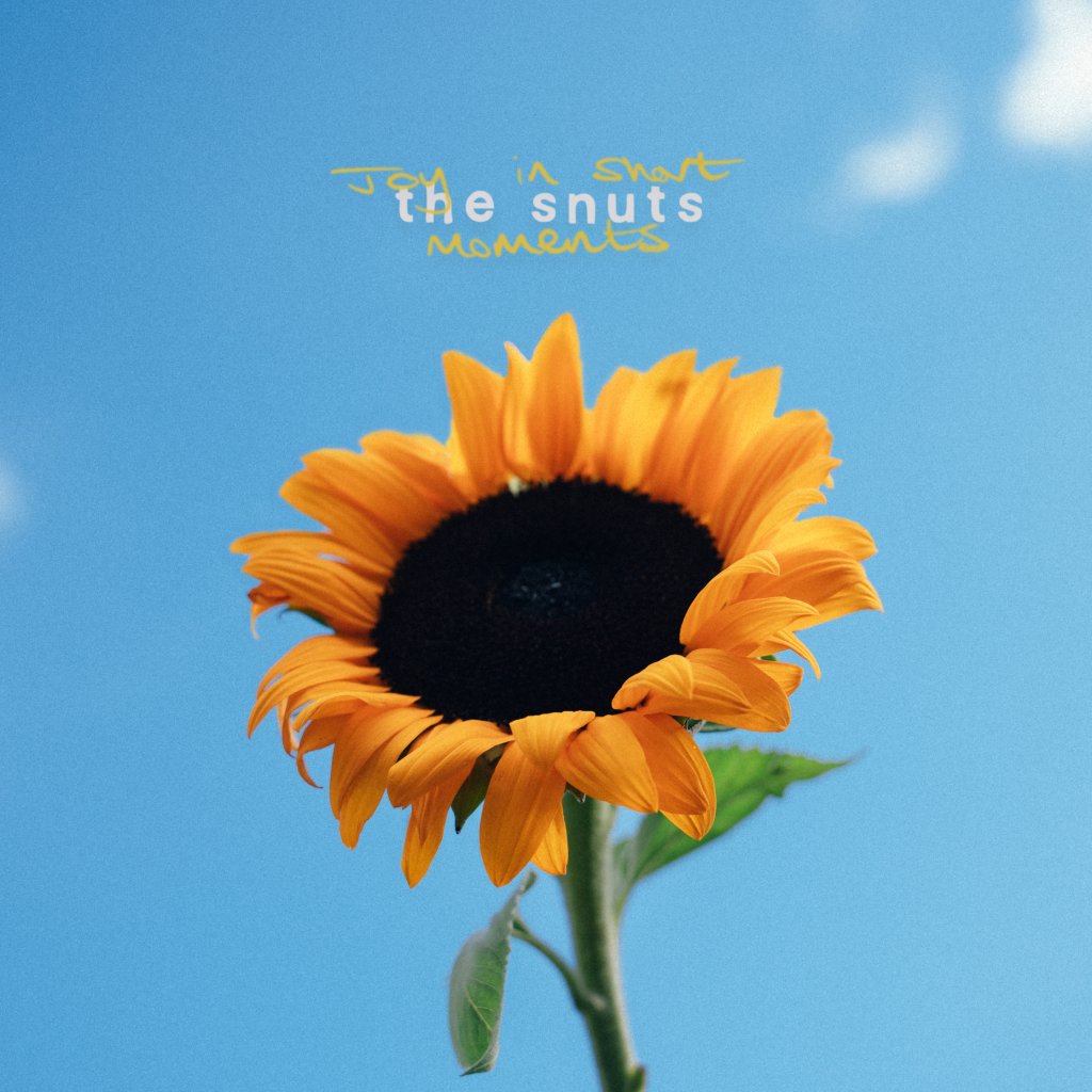 Snuts - Joy In Short Moments - Lp