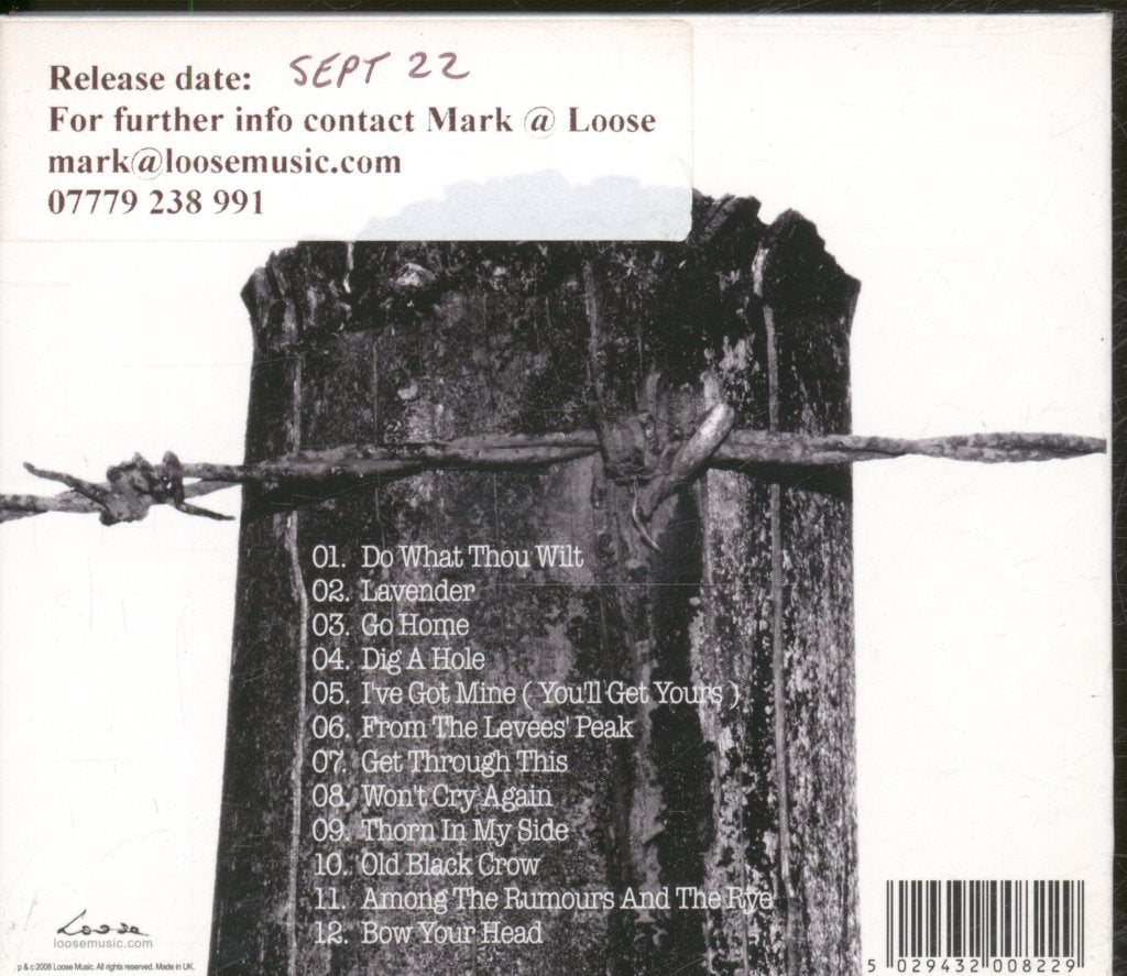 Mr David Viner - Among The Rumours And The Rye - Cd