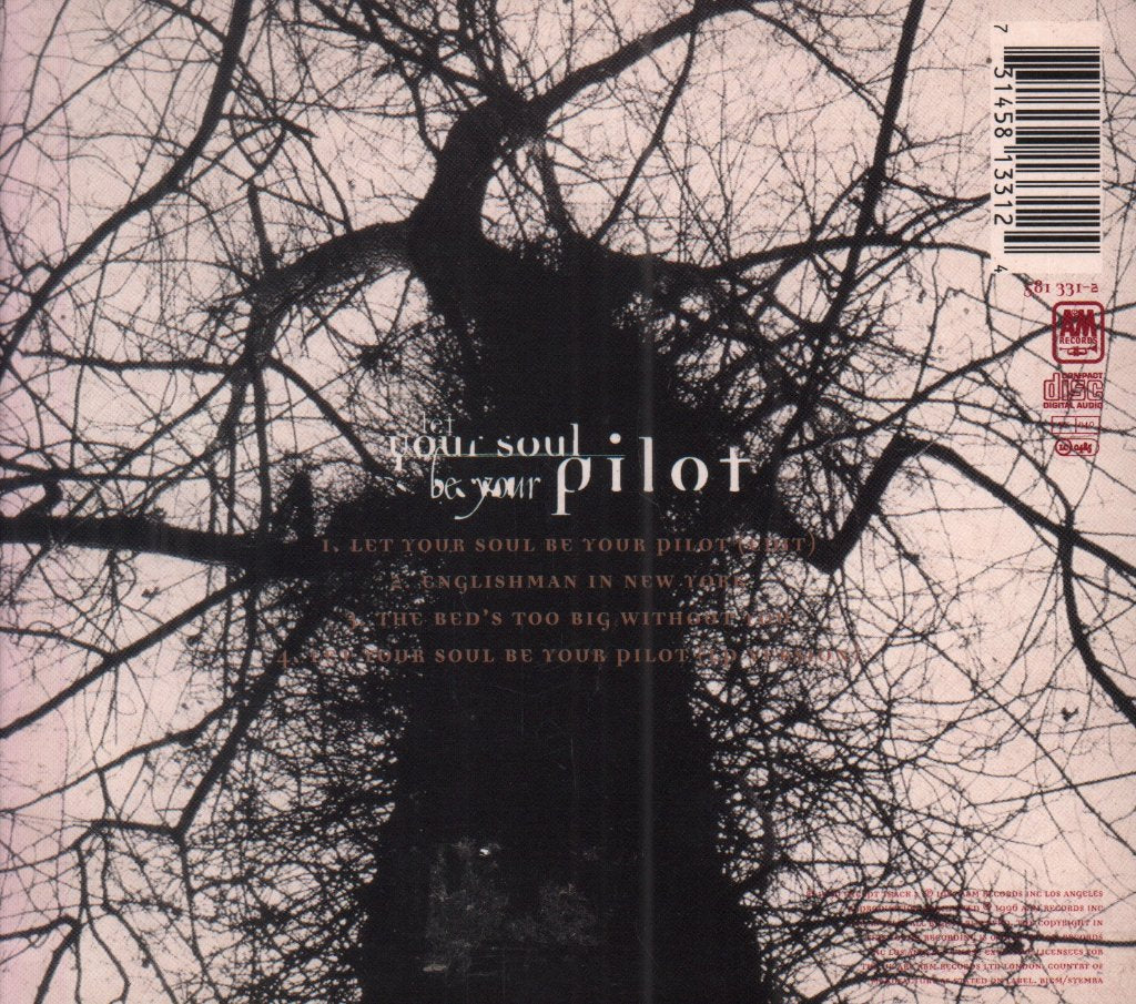Sting - Let Your Soul Be Your Pilot - Cd