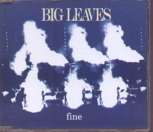 Big Leaves - Fine - Cd