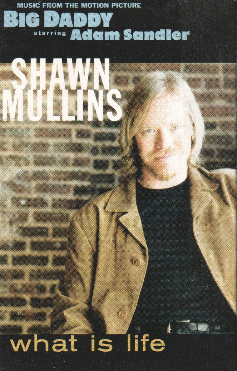 Shawn Mullins - What Is Life - Cassette