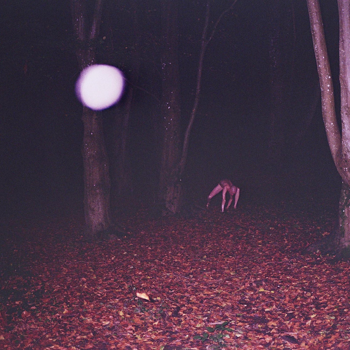 Buzzard Buzzard Buzzard - Skinwalker - Lp