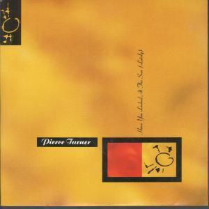 Pierce Turner - Have You Looked At The Sun - 7 Inch