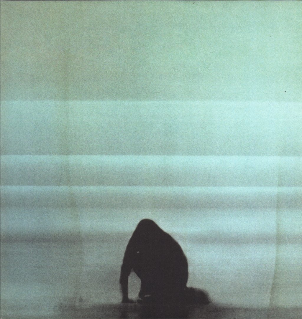 Foals - What Went Down - Lp