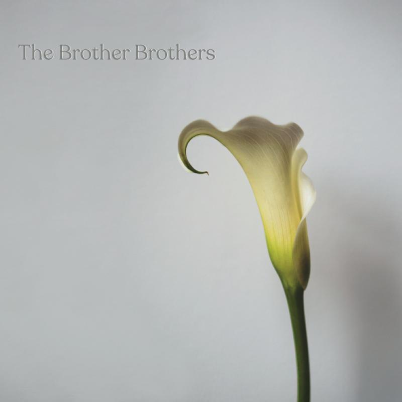 Brother Brothers - Calla Lily - Cd