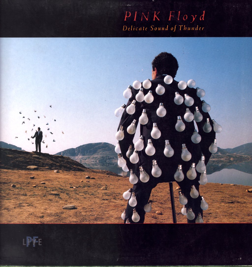 Pink Floyd - Delicate Sound Of Thunder - Lp